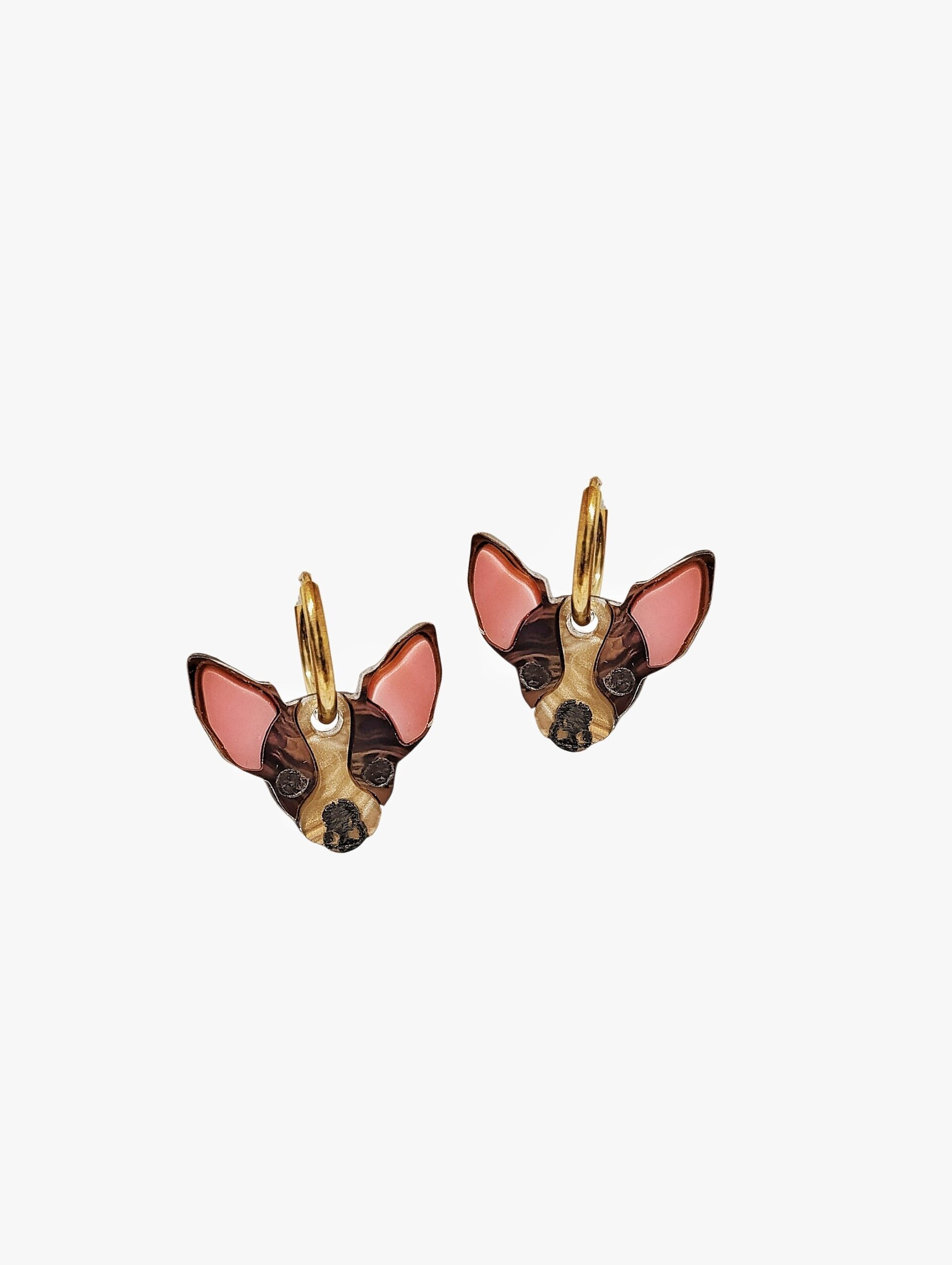 Chihuahua oscuro - 1