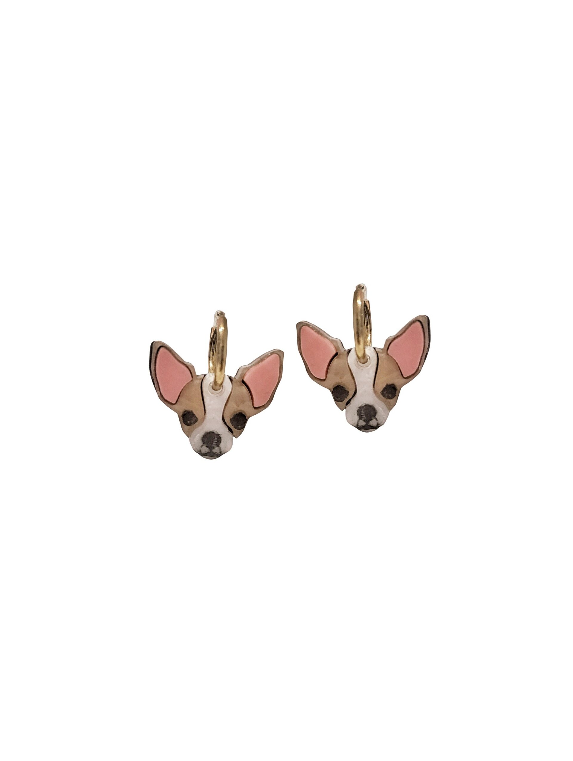 Chihuahua claro - 1